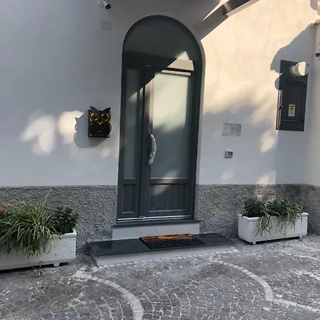 House Ruocco